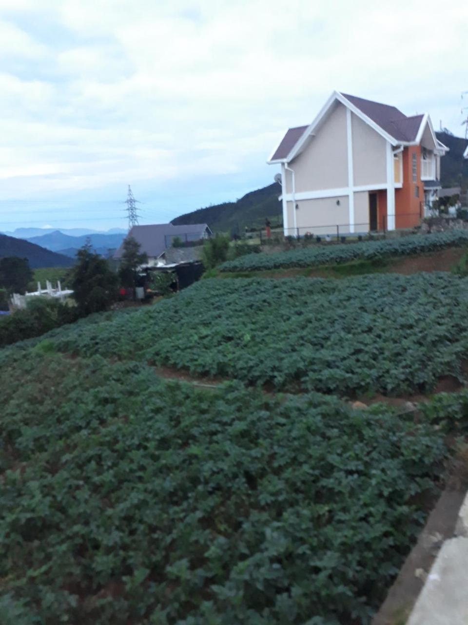 Rainyfreindz Hotel Nuwara Eliya Kültér fotó