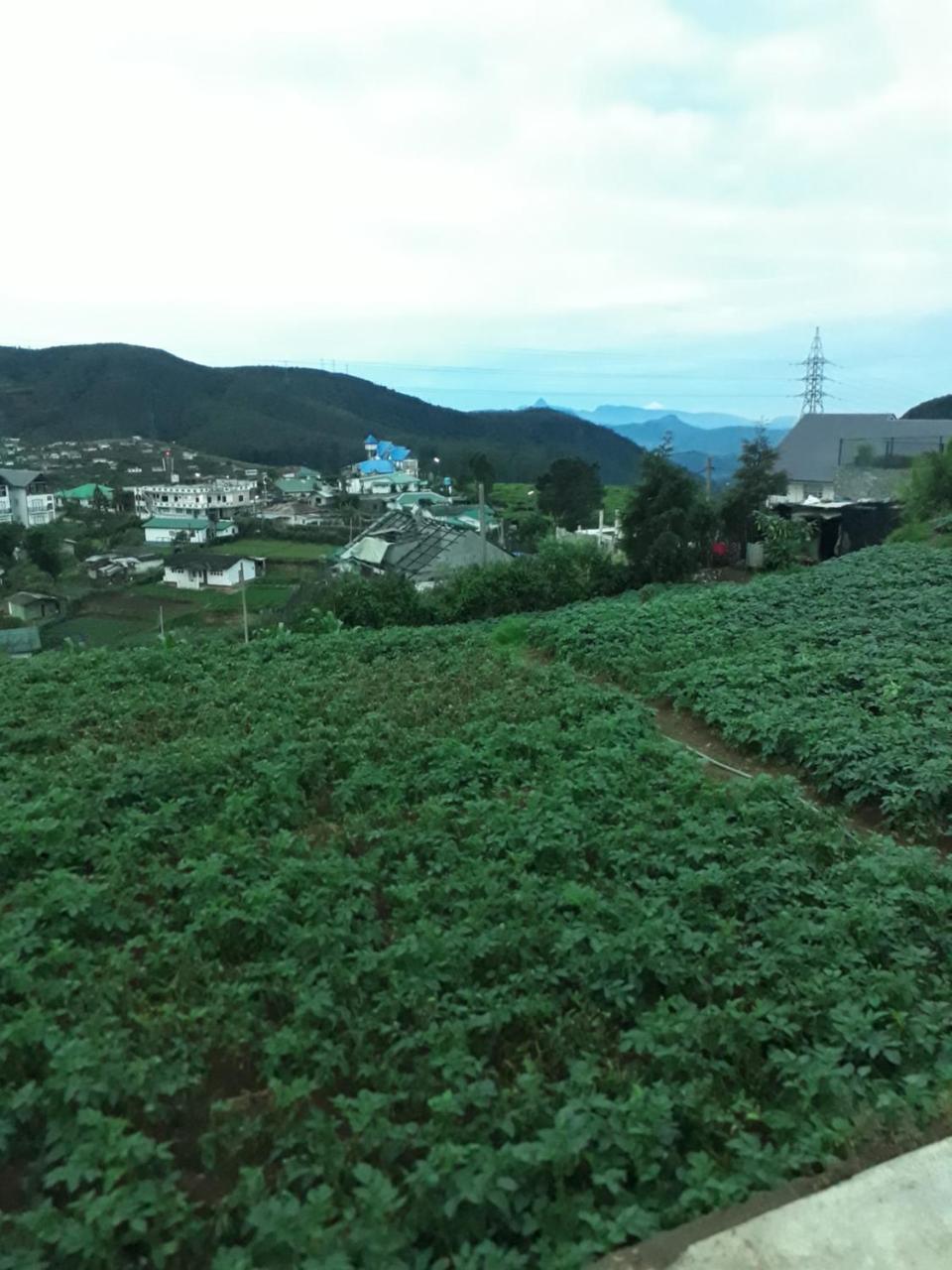 Rainyfreindz Hotel Nuwara Eliya Kültér fotó